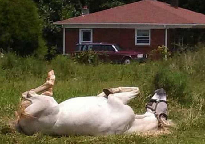 7e63403ada714a11e031ee8149b602e8.png 7e63403ada714a11e031ee8149b602e8.png